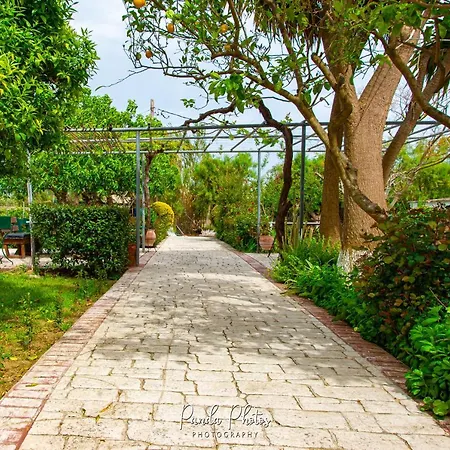 Appartement Zante Apts